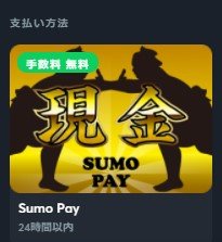 スモウペイの安全性を徹底検証