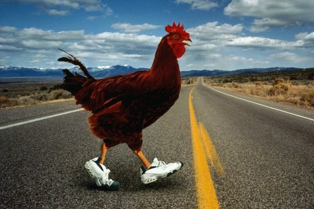 Découvrez le Jeu de Casino Populaire Chicken Road sur Internet - aperçu
